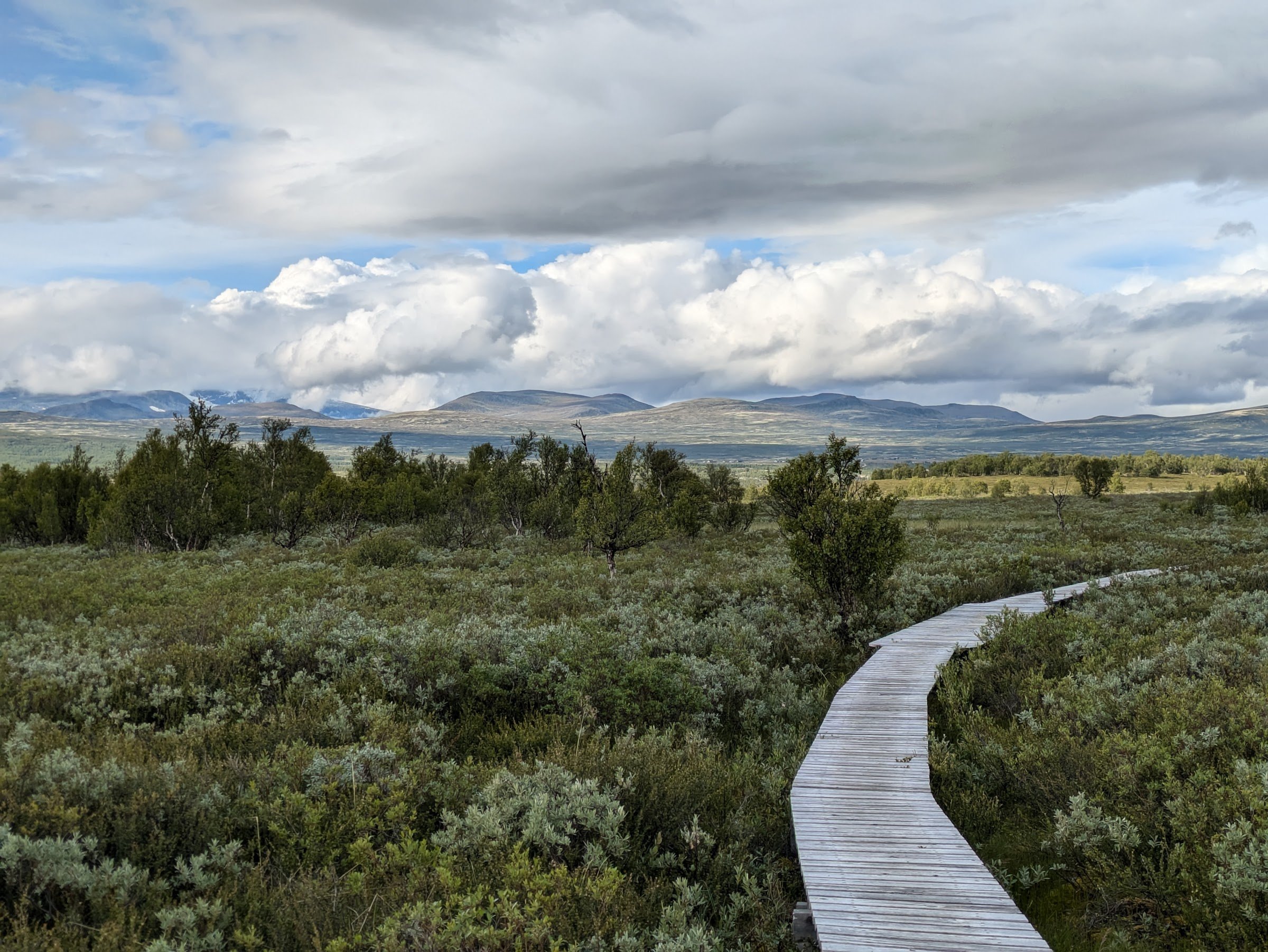 Fokstumyra parkeringsplass og inngang til parken